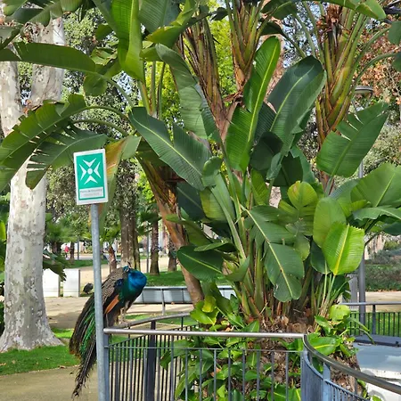 Casa Jasmim Apartamento *