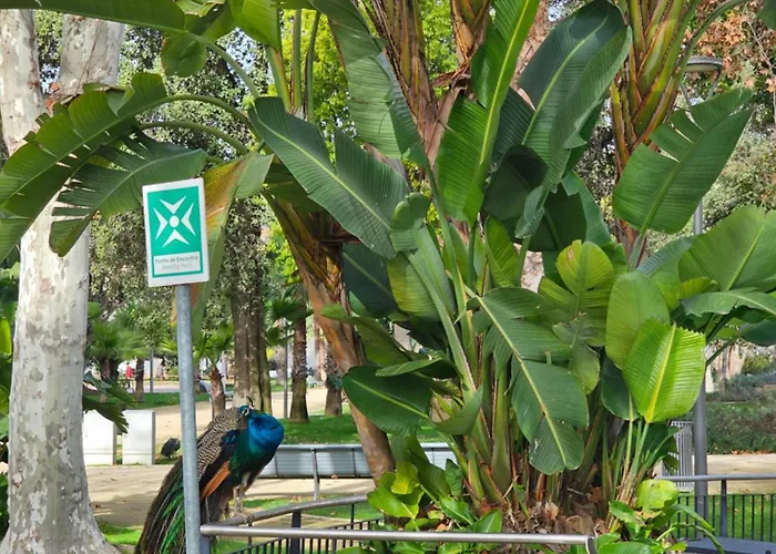 Casa Jasmim Apartamento *