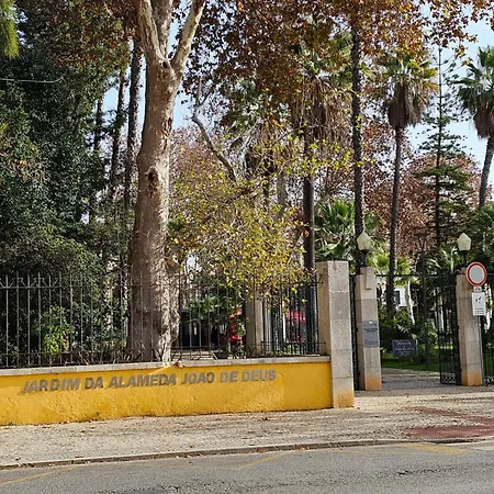 Lejlighed Casa Jasmim *